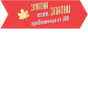 Икона в кампания