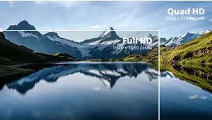 Монитор Philips 32E1N3600LA/00, 31.5" (80.01cm) VA панел, 75Hz, QHD, 4ms, 3000:1, 300 cd/m2, HDMI, DisplayPort, USB-C, USB - характеристика 2