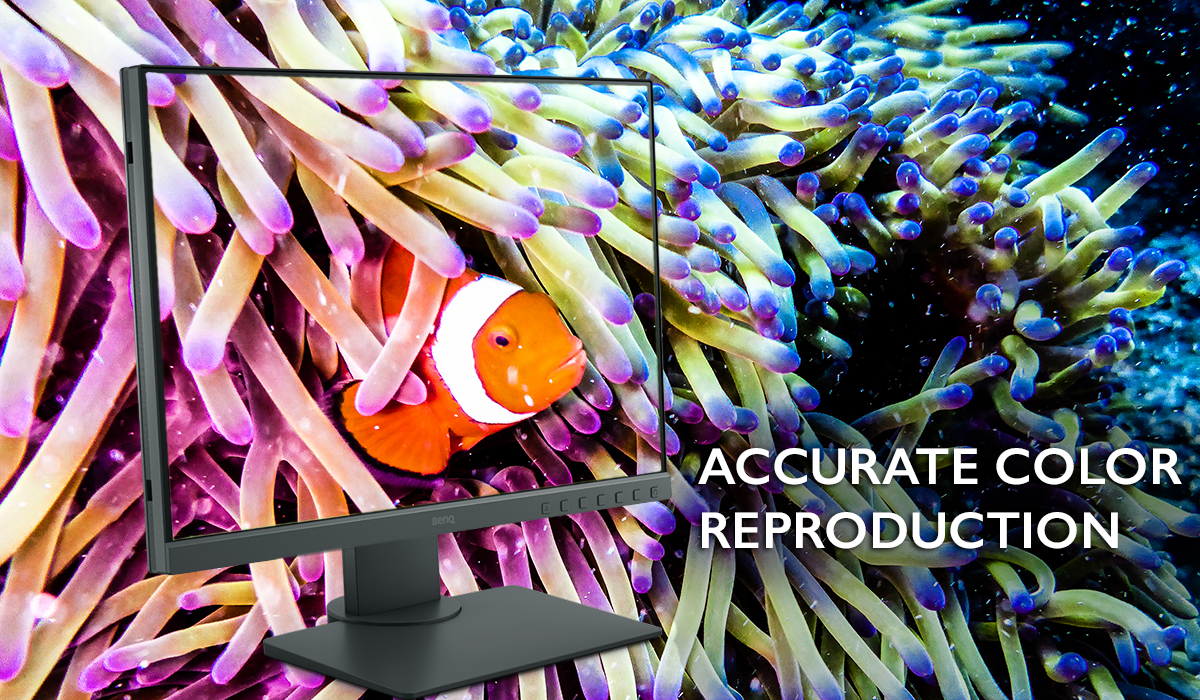Монитор BenQ SW240 (9H.LH2LB.QPE), 24.1" (61.21 cm) IPS панел, WUXGA, 5ms, 20 000 000:1, 250cd/m2, DisplayPort, HDMI, DVI, VGA - характеристика 3