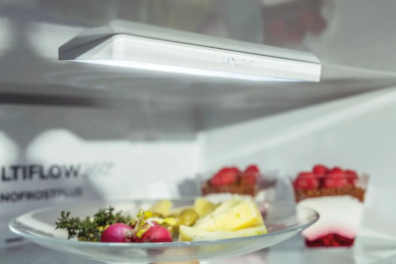 Хладилник с фризер Gorenje RK4182PW4, клас E, 269 л. общ обем, свободностоящ, 210kWh/годишно, бял - характеристика 2