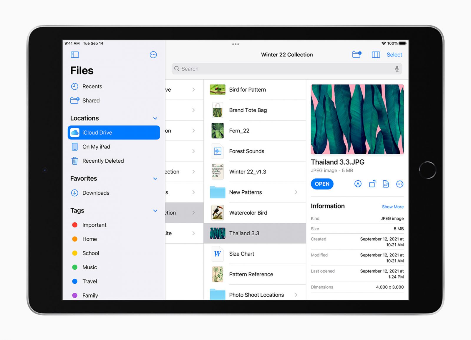 Таблет Apple iPad 9 Wi-Fi (MK2L3HC/A)(сребрист), 10.2" (25.91 cm) Retina IPS LCD дисплей, шестядрен Apple A13 Bionic 2.65 GHz, 3GB RAM, 64GB GB eMMC, 8.0 & 12.0 Mpix камера, iPadOS 15 - характеристика 4