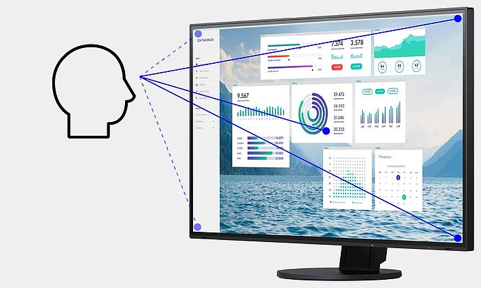 Монитор Eizo EV2795-BK, 27" (68.58 cm) IPS панел, WQHD, 5ms, 350 cd/m2, DisplayPort, HDMI, LAN, USB-C - характеристика 4