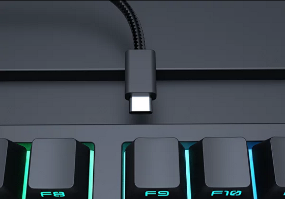 Клавиатура FSHolding Dark Project KD87A, механична, оптичен Red Switch, гейминг, високопрофилни бутони, RGB подсветка, черна, USB - характеристика 2