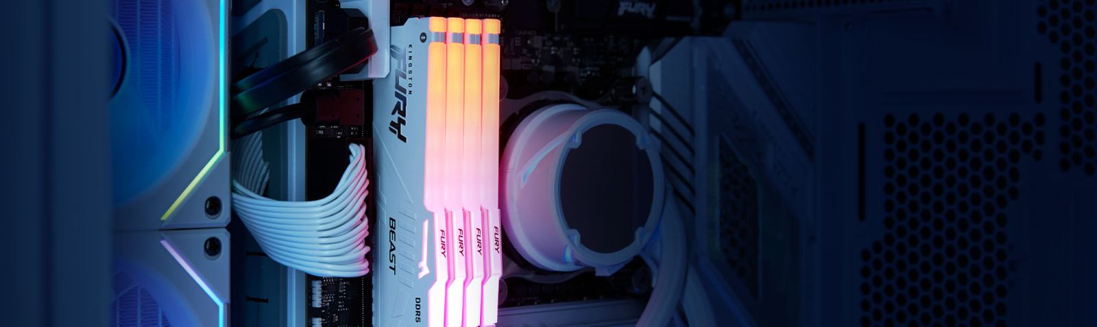 Памет 64GB (2x32GB) DDR5 6000MT/s, Kingston Fury Beast White RGB, KF560C36BWEAK2-64, 1.35V - характеристика 1