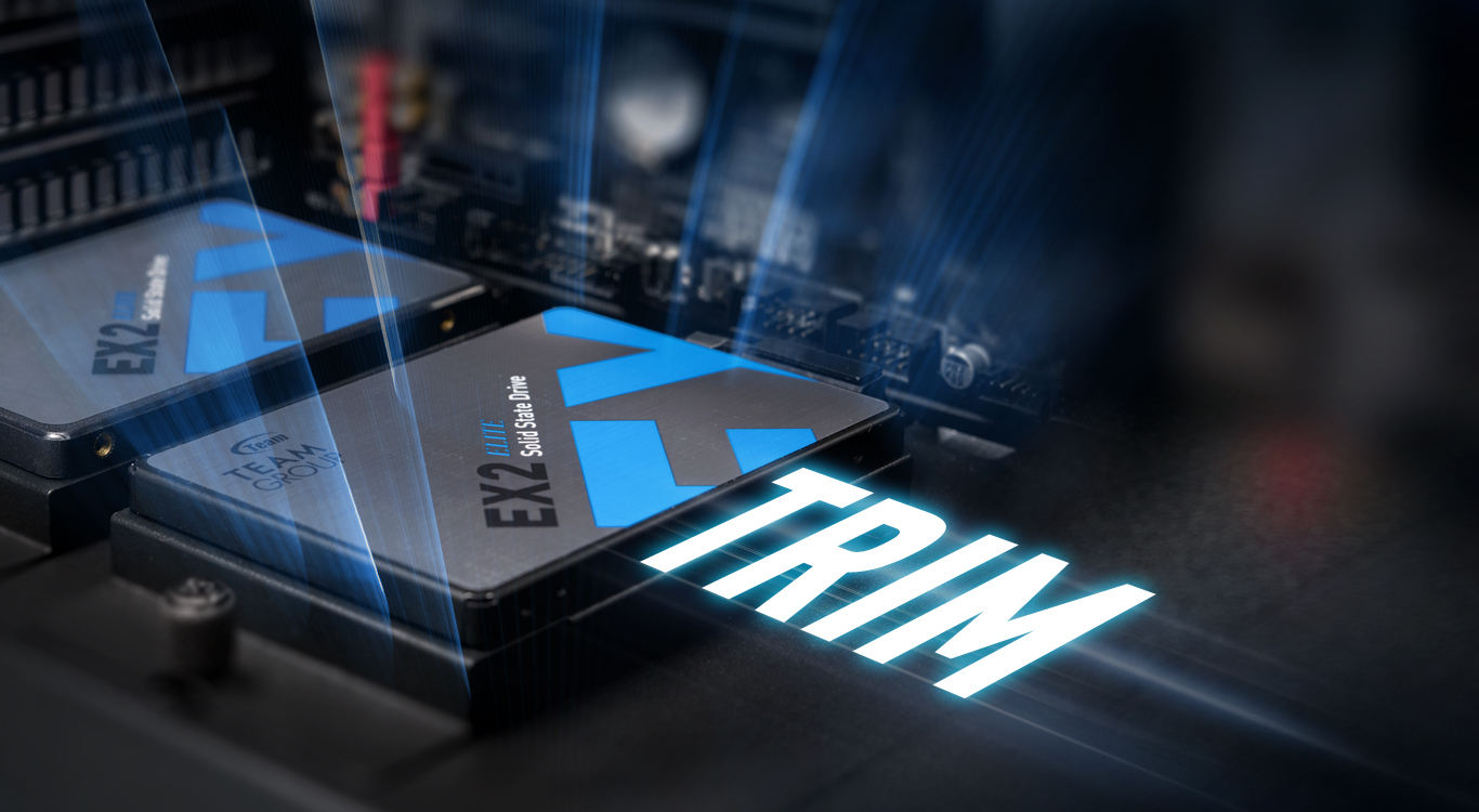 Памет SSD 512GB, Team Group Elite EX2, SATA 6Gb/s, 2.5"(6.35 cm), скорост на четене 550 MB/s, скорост на запис 520 MB/s - характеристика 3