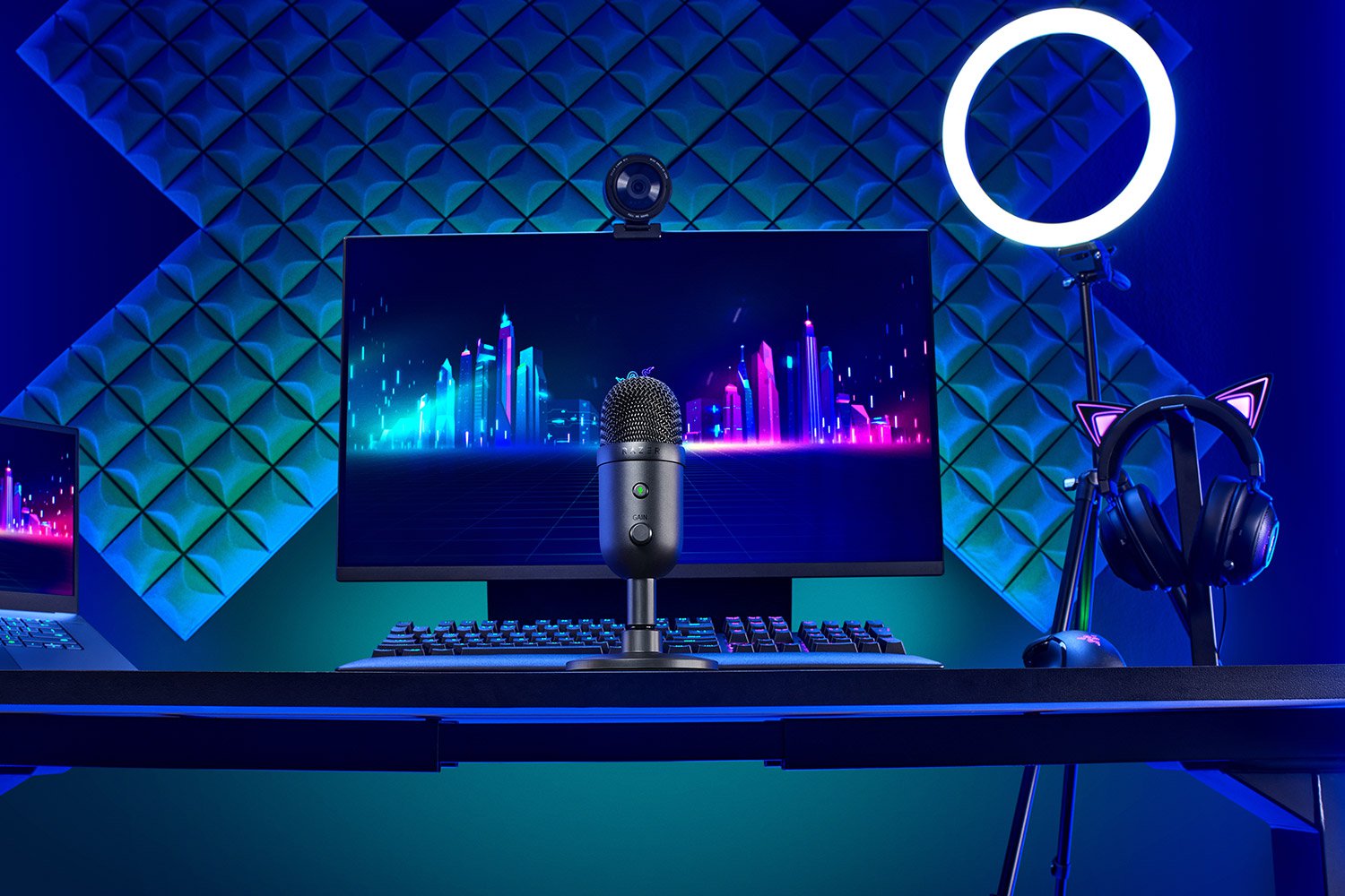 Микрофон Razer Seiren V2 X (RZ19-04050100-R3M1), USB, със стойка, 20Нz~20kНz, вграден shock absorber, черен - характеристика 2