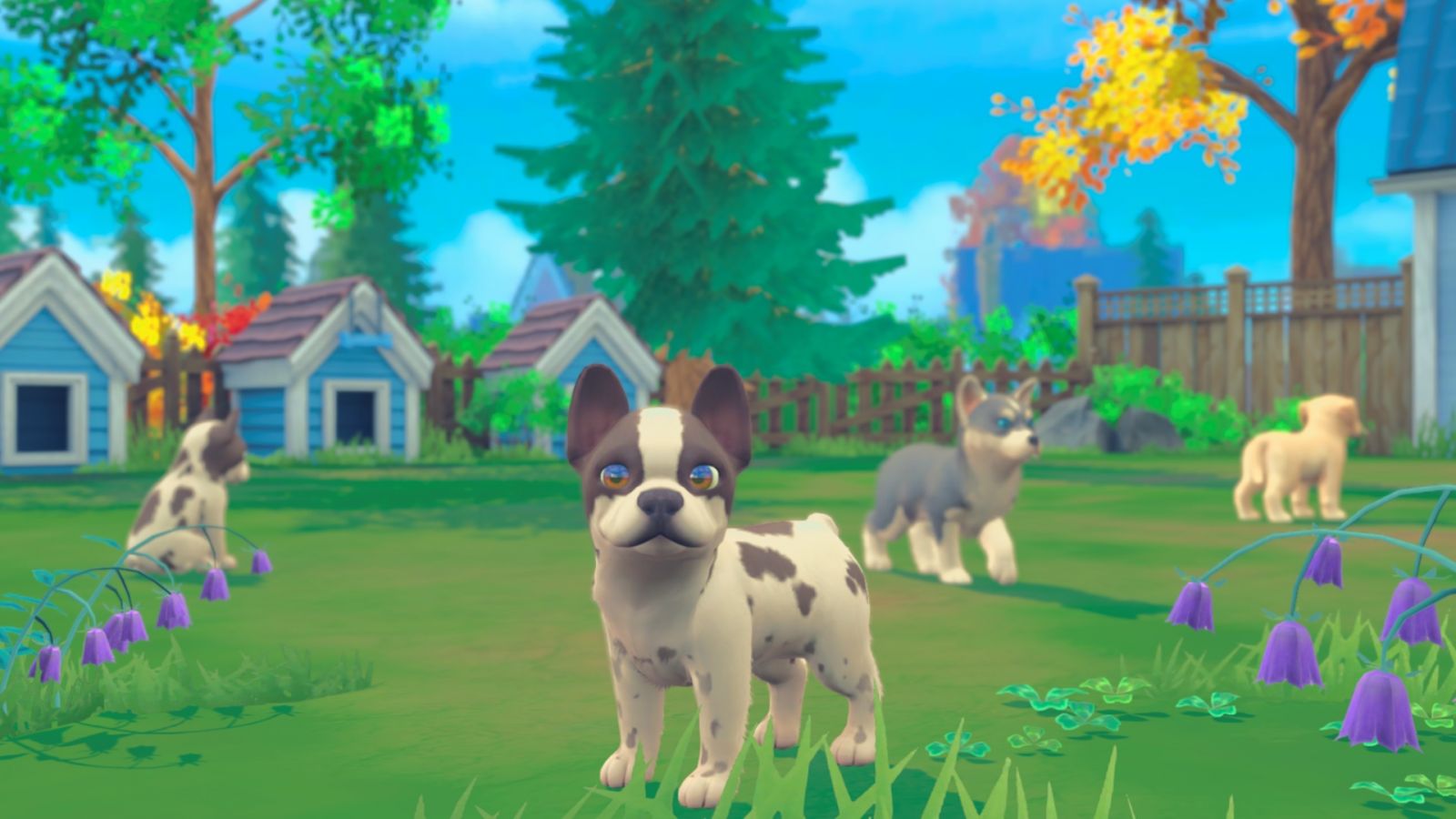 Игра за конзола My Universe: Puppies and Kittens, за Nintendo Switch - характеристика 1