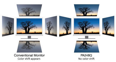 Монитор ASUS ProArt PA248Q, 24.1" (61.21 см) IPS панел, WUXGA, 6ms, 80 000 000:1, 300 cd/m2, DisplayPort, HDMI, DVI-D, D-Sub - характеристика 2
