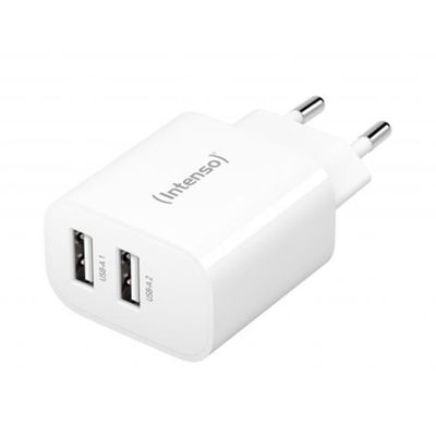 Захранване Intenso W24AA power adapter - USB - 24 Watt